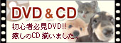 DVD&CD