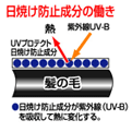 髪の毛防止成分の働き
