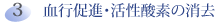 血行促進・活性酸素の消去